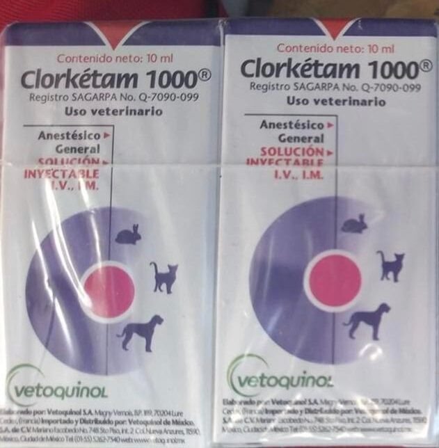 Clorketam 1000 Biuy Clorketam 1000 Online - Clorketam 1000 For Sale Online