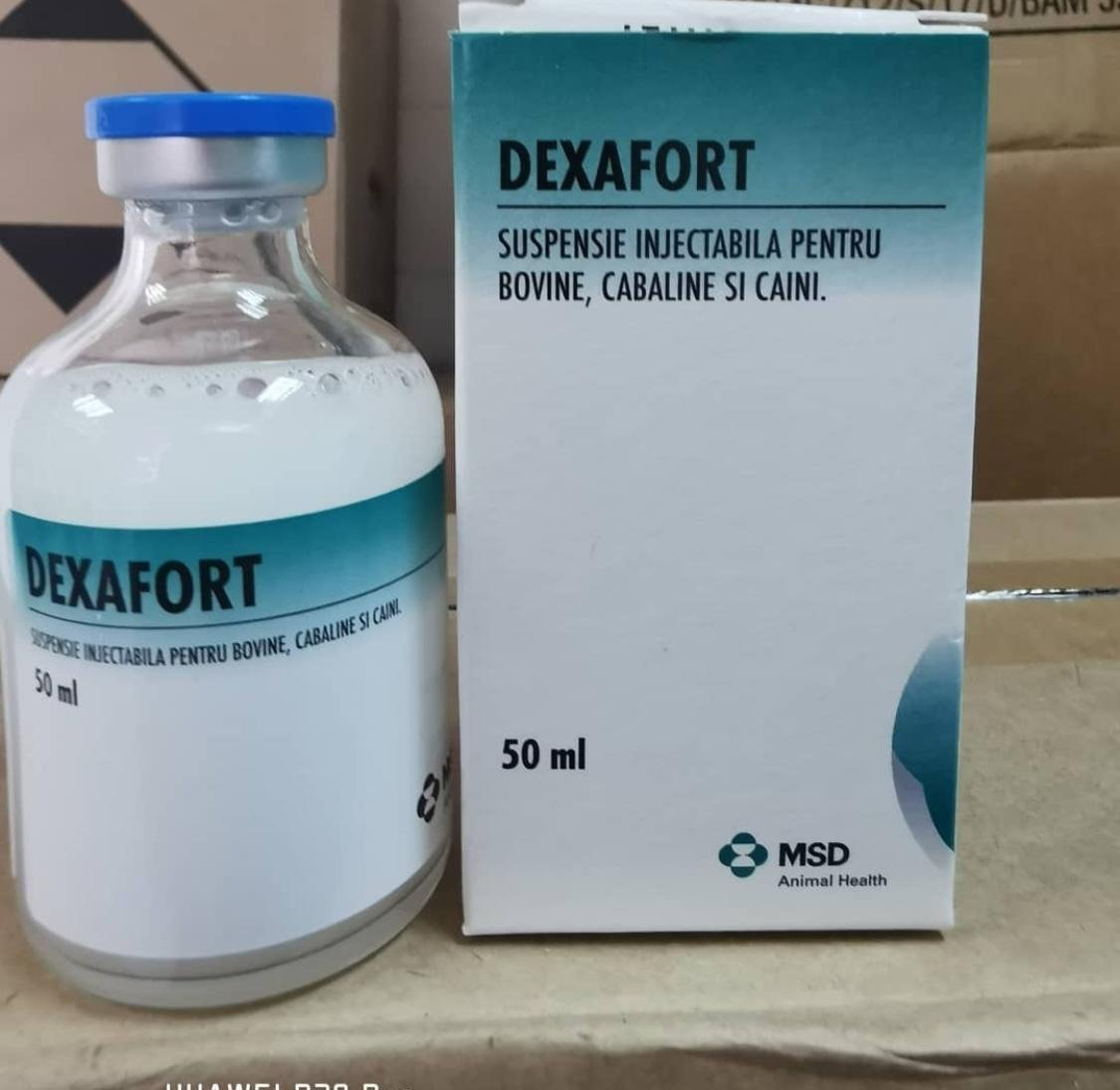Dexafort-50-ml-1.jpg