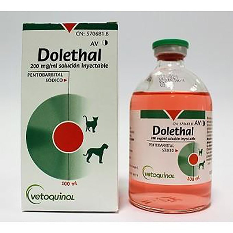 Dolethal 100ml Solution For Injection Buy Dolethal 100ml Solution For Injection