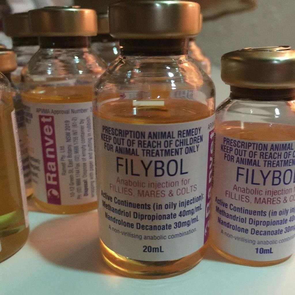 FILYBOL.jpg