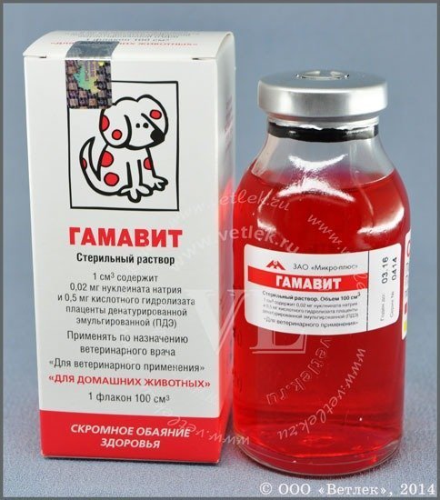 Gamavit.jpg