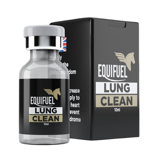 LUNG_CLEAN-removebg-preview.png