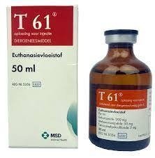 MSD-T 61 50 ML