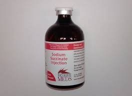 SODIUM SUCCINATE INJECTION