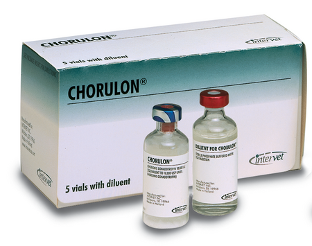 Chorulon HCG for Cattle Buy Chorulon HCG for Cattle Online - Chorulon HCG for Cattle For Sale Online