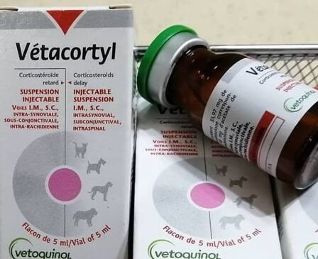 VETACORTYL-–-5ML-e1630325800952-1.jpg