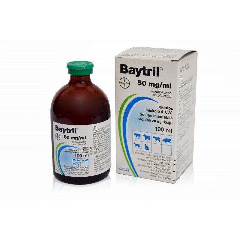 bay5-800x800-1.jpg