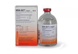 dexaject.jpg