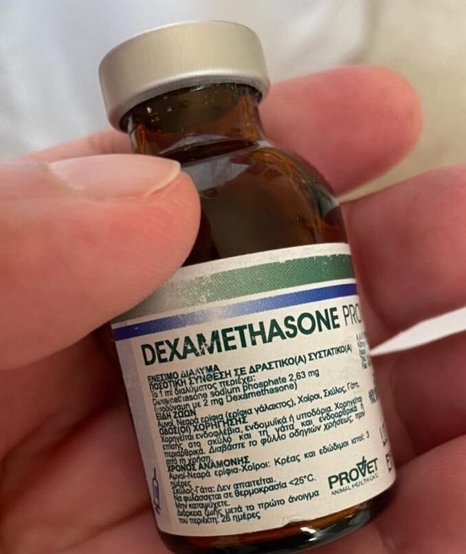 dexamethasone-provet-e1628018175.jpg