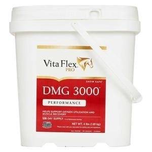 DMG 3000 for Horses