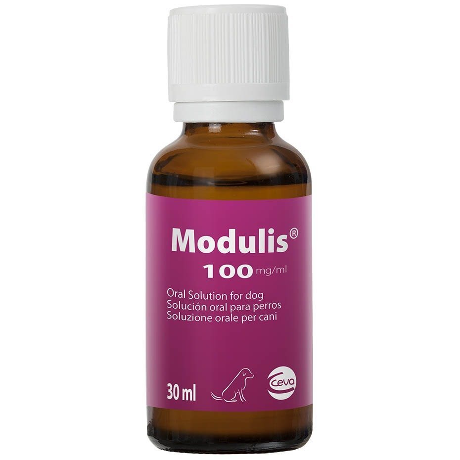 modulis.jpg