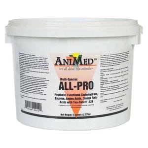 Multi-Species ALL-PRO Probiotic for Animals