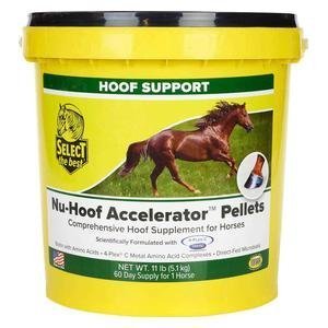 Select Nu-Hoof Accelerator Hoof Support for Horses