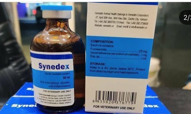 synedex-e1637693031986-1.jpg