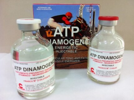 atp dinamogeno