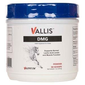 Vallis DMG