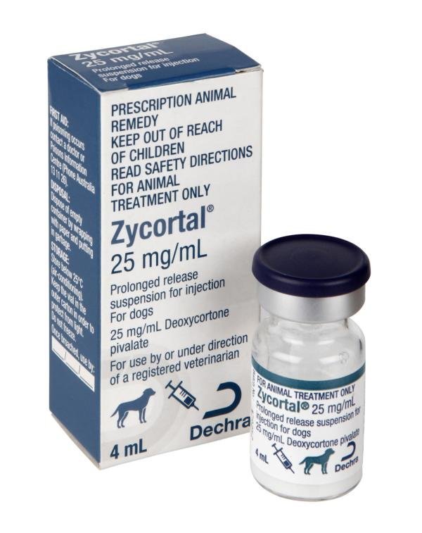 Zycortal Injection for Dogs Buy Zycortal Injection for Dogs Online - Zycortal Injection For Sale Online
